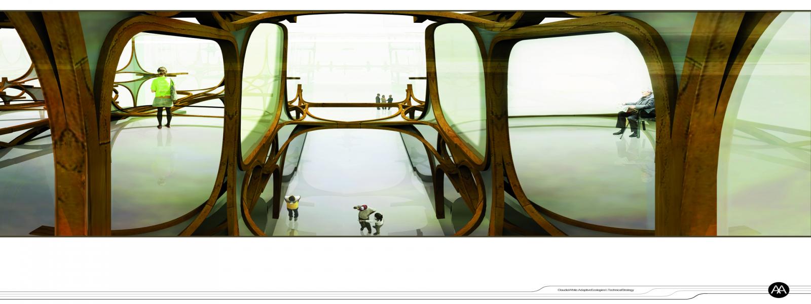 Image Three