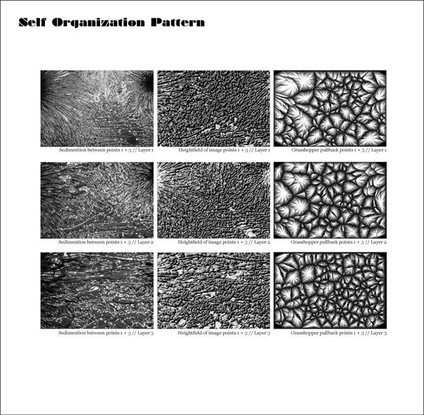 Self-organisation Pattern